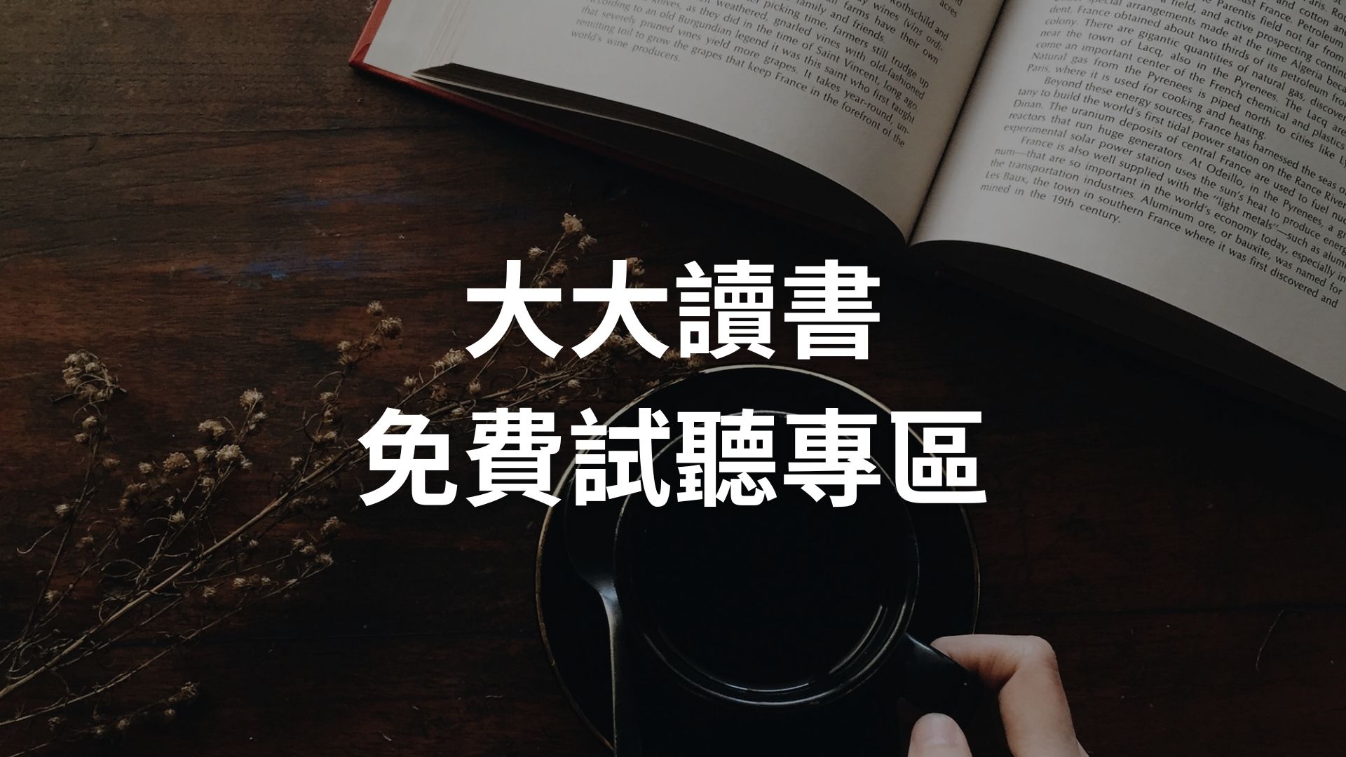 大大讀書 免費試聽